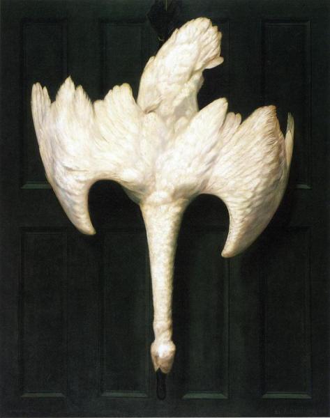 The Trumpeter Swan by Alexander Pope