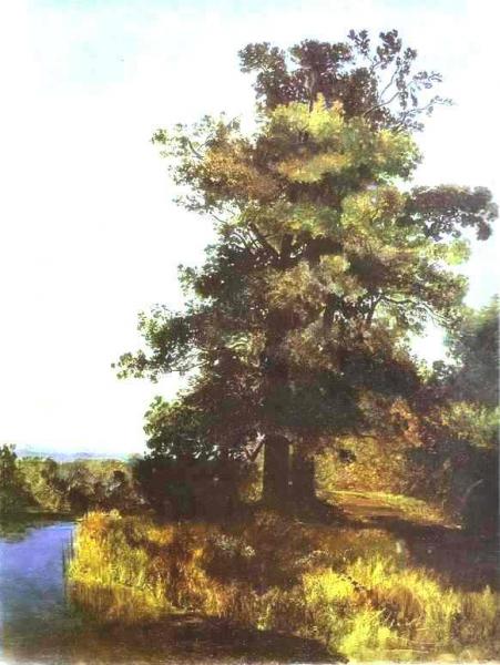 Oaks by Alexei Kondratevich Savrasov