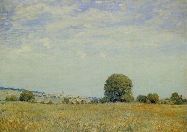Fields At Saint Cloud by Alfred Sisley