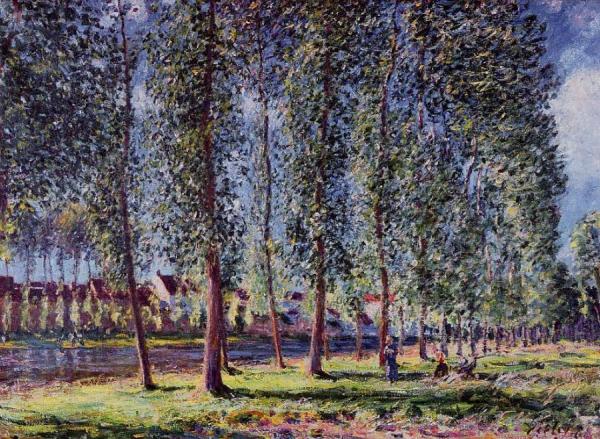 Lane Of Poplars At Moret by Alfred Sisley