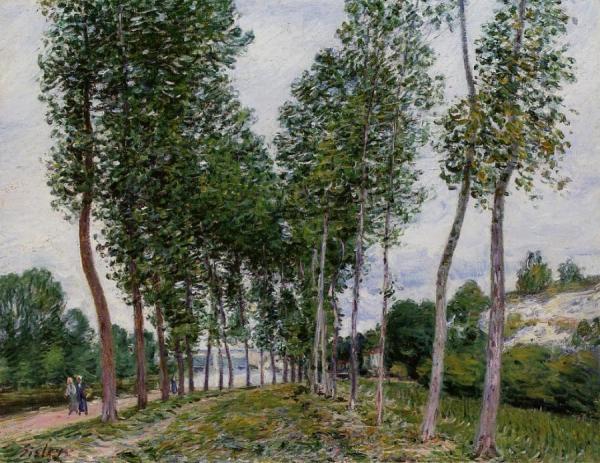 Lane Of Poplars On The Banks Of The Loing by Alfred Sisley