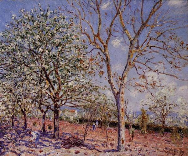 Plum And Walnut Trees In Spring by Alfred Sisley