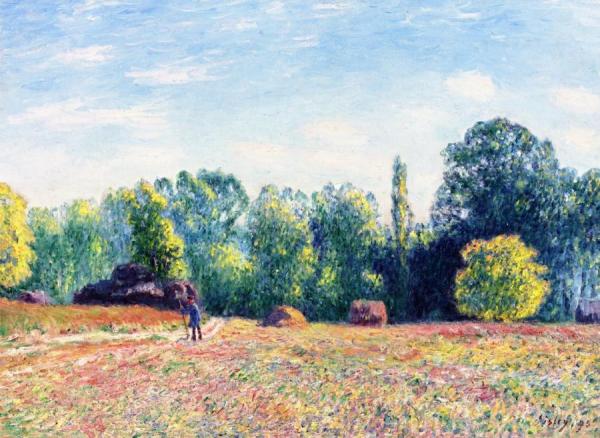 The Edge Of The Forest by Alfred Sisley