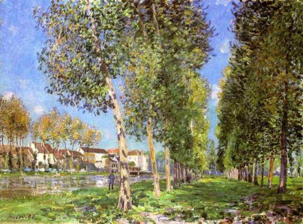 The Lane Of Poplars At Moret-sur-loing by Alfred Sisley