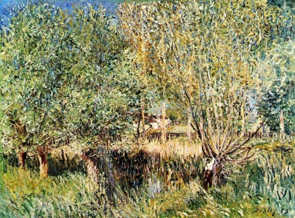Willows On The Banks Of The Orvanne by Alfred Sisley