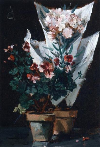 Still Life Wit Potted Geraniums by Alfred Stevens