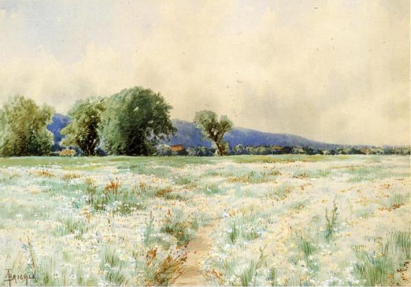 The Daisy Field by Alfred Thompson Bricher Oil Painting Reproductions
