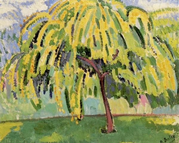 Pear Tree by Alice Bailly