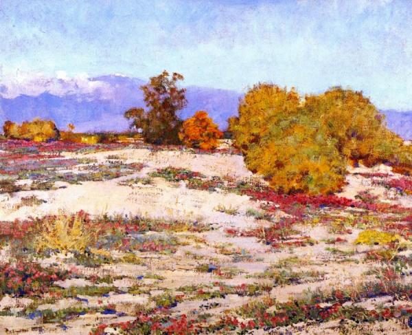 Alson Skinner Clark Desert Verbena, Palm Springs