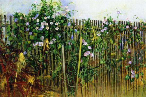 Morning Glories by Amanda Petronella Austin