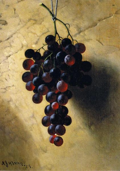 Grapes by Andrew J. H. Way Oil Painting Reproductions