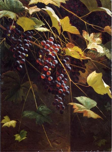 Wild Grapes by Andrew J. H. Way