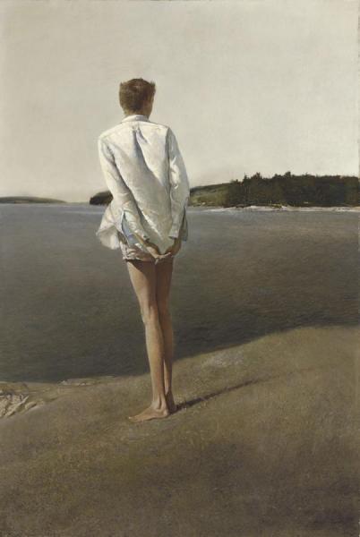 Above The Narrows by Andrew Wyeth