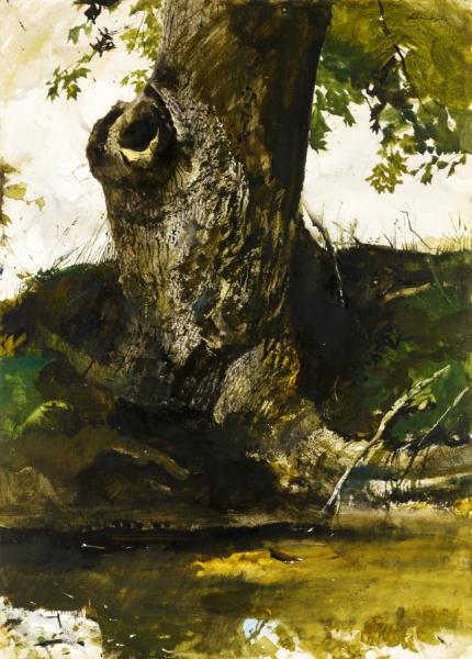 Along The Tail Race by Andrew Wyeth