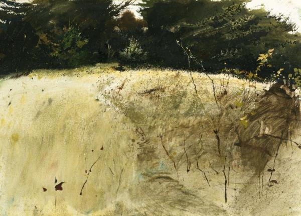 Fall Grasses by Andrew Wyeth
