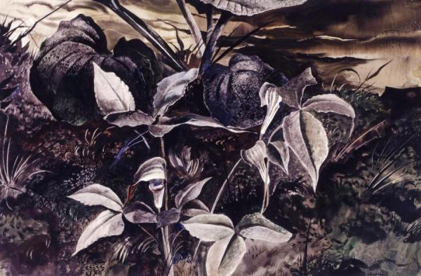 Jack In The Pulpit by Andrew Wyeth