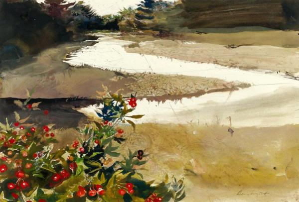 Rose Hips (study For Back Water) by Andrew Wyeth