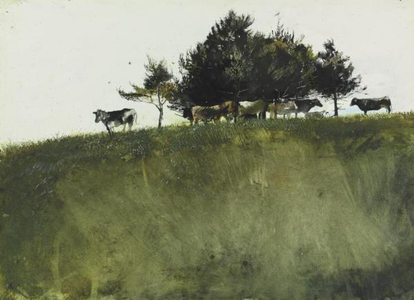 Shade Trees by Andrew Wyeth