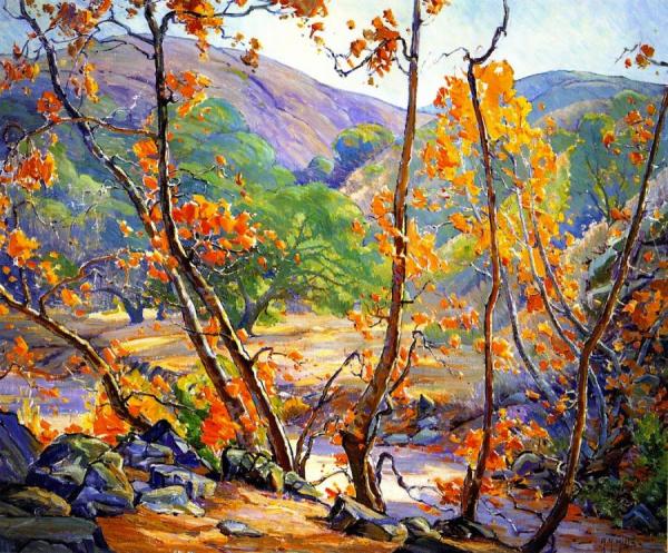 Anna Hills Sycamores