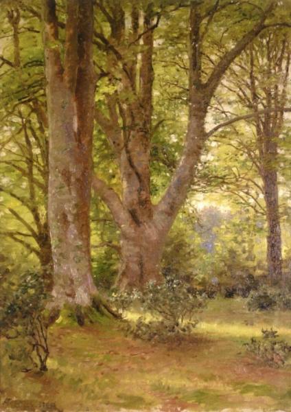 Beech Trees by Anna Mary Richards Brewster