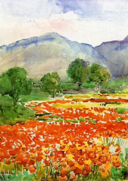 Field Of Poppies, Near Spoleto Italy by Annie G. Sykes