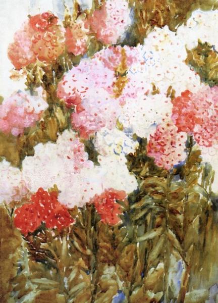 Phlox by Annie G. Sykes Oil Painting Reproductions