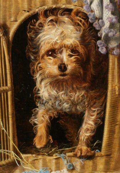 Darby In His Basket Kennel by Anthony Frederick Sandys