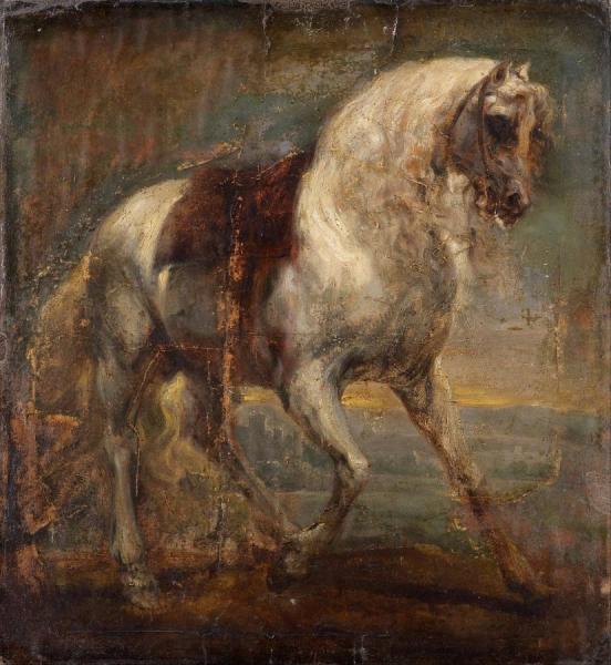 A Grey Horse by Anthony Van Dyck