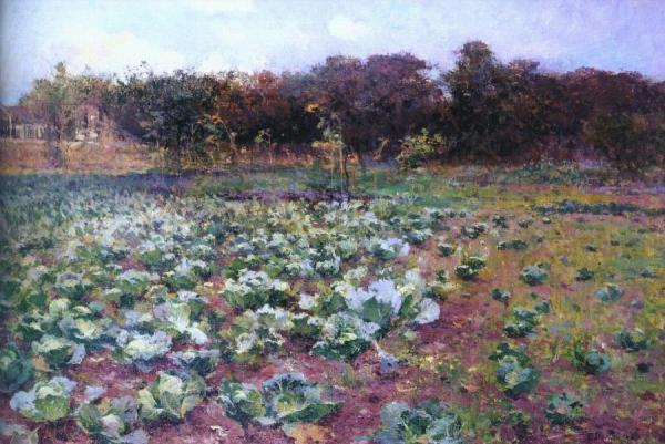 A Cabbage Field by Antonín Slavíček