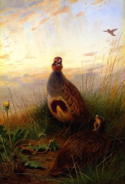 Against The Brightening Dawn by Archibald Thorburn Oil Painting Reproductions
