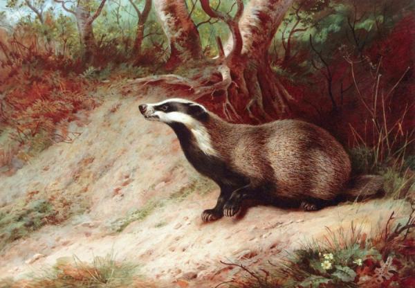 Home Territory by Archibald Thorburn