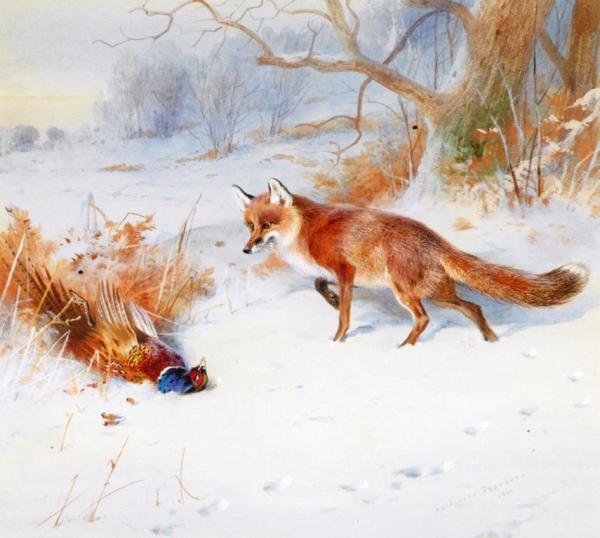 Overlooked By The Beaters by Archibald Thorburn