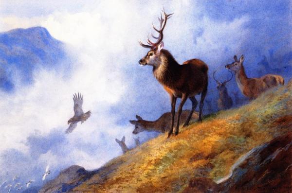 Archibald Thorburn Red Deer Watching A Golden Eagle Hunt Ptarmigan