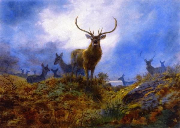 The Last Chance Before Dark by Archibald Thorburn