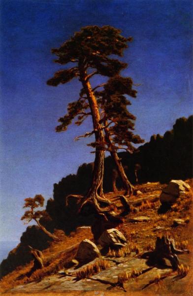 Pines by Arkhin Ivanovich Kuindzhi