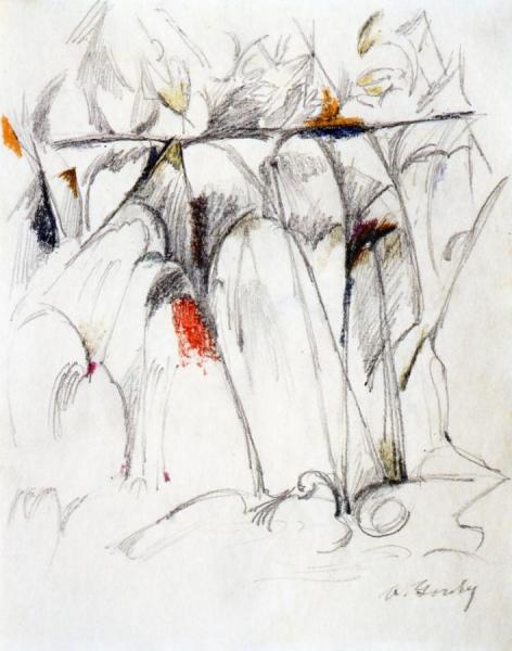 Waterfalls by Arshile Gorky