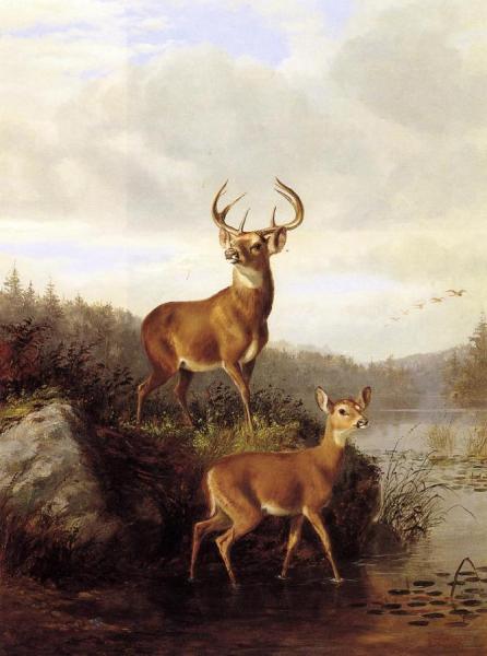 Buck And Doe by Arthur Fitzwilliam Tait Oil Painting Reproductions