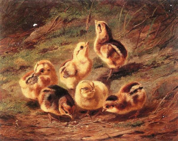 Chickens by Arthur Fitzwilliam Tait Oil Painting Reproductions
