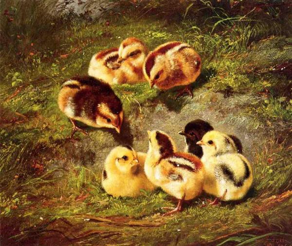 Chickens by Arthur Fitzwilliam Tait