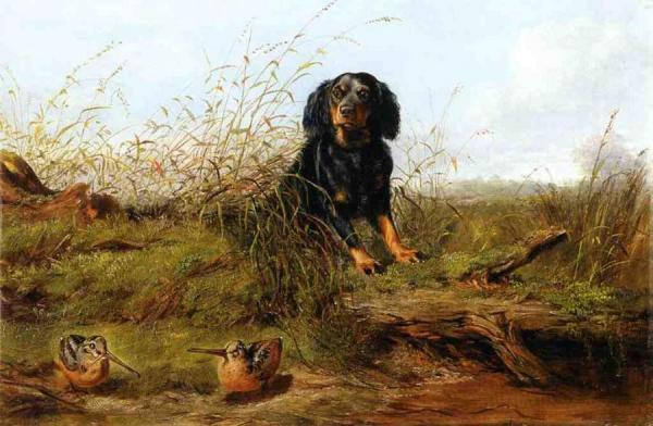 Cocker Spaniel And Woodcock by Arthur Fitzwilliam Tait