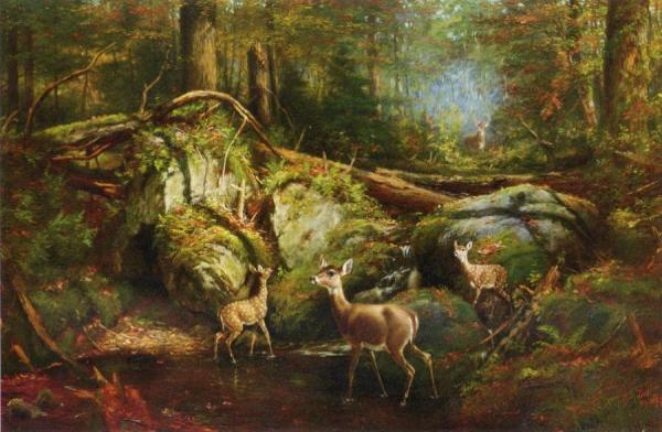 Arthur Fitzwilliam Tait Deer In The Adirondacks
