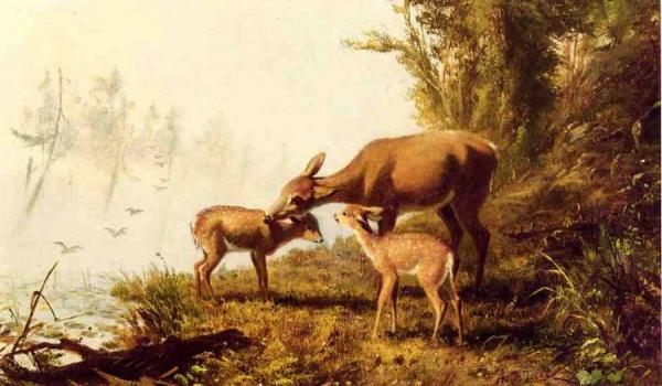 Deer In The Woods by Arthur Fitzwilliam Tait