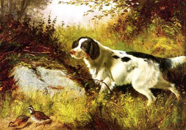 Dog And Quail by Arthur Fitzwilliam Tait Oil Painting Reproductions