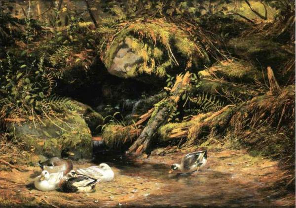 Ducks At The Spring Head by Arthur Fitzwilliam Tait