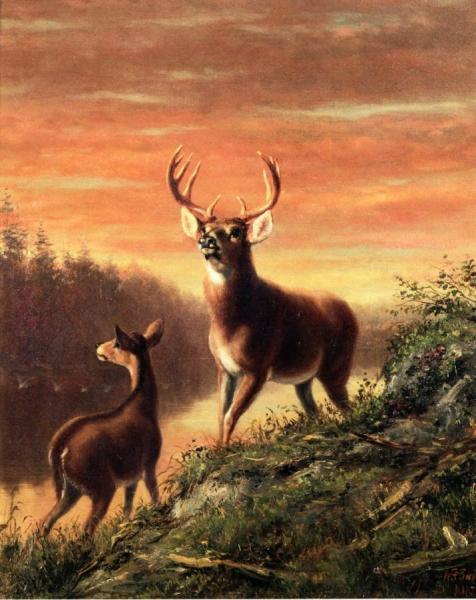 Evening At Forked Lake, Hamilton County, New York by Arthur Fitzwilliam Tait Oil Painting Reproductions