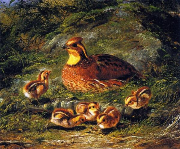 Hen, Chicks And Ladybug by Arthur Fitzwilliam Tait