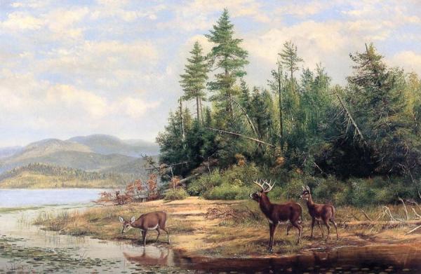 Long Lake by Arthur Fitzwilliam Tait