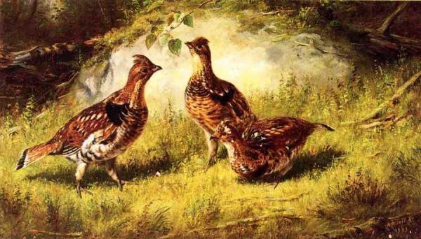 Arthur Fitzwilliam Tait Ruffed Grouse