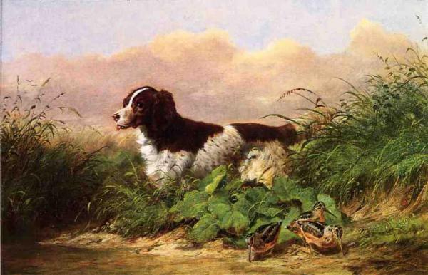 Setter And Woodcock by Arthur Fitzwilliam Tait Oil Painting Reproductions