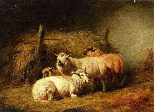 Sheep In Shed by Arthur Fitzwilliam Tait